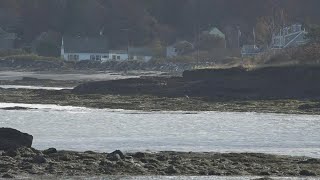FEMA's flood insurance system, prices changing
