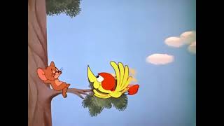 Tom And Jerry Cartoon Episode 120 Landing Stripling 1962