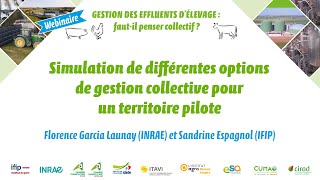 Simulation de différentes options de gestion collective pour un territoire pilote