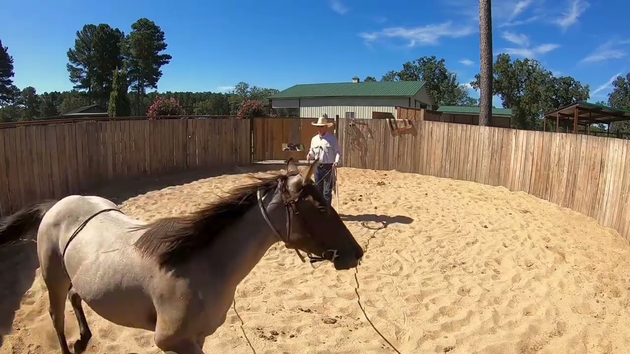 Let her step over the heel trap