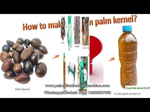 EASIEST AND QUICKEST WAY TO MAKE PALM KERNEL OIL AT HOME(2 WAYS