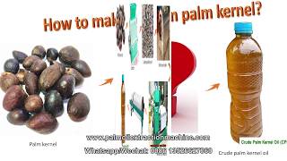 Small scale palm kernel oil making machine, palm kernel oil extraction machine with 0.5-2tph