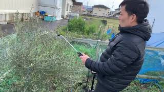 バクチャー植物使い方！果樹編