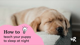 How to Get Your Puppy to Sleep Through the Night by Rover 2,674 views 6 months ago 3 minutes, 15 seconds