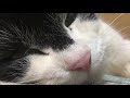 眠りまでの