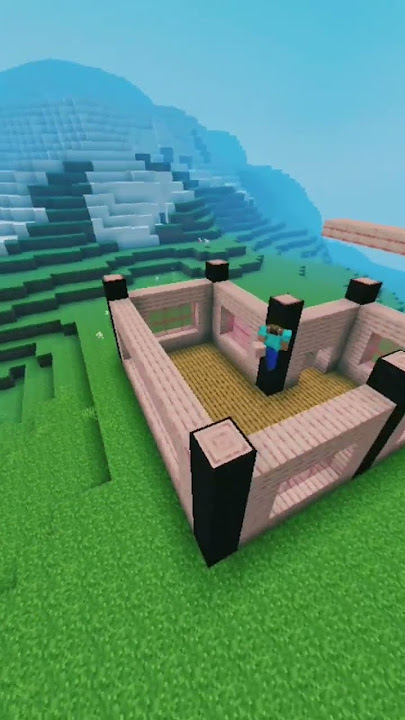 MINECRAFT BUILDING REPLAY SINEMATIC