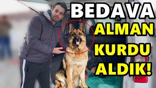 ÜCRETSİZ ALMAN KURDU ALDIK - HEMDE 2 TANE !