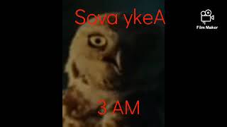 Ondra Vlček : Napsala mi IKEA Sova ve 3 ráno!!! dezive