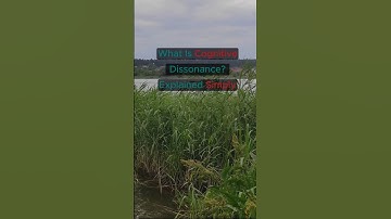 What Is Cognitive Dissonance? Explained Simply #psychology #psycholgyfacts #cognitivedissonance