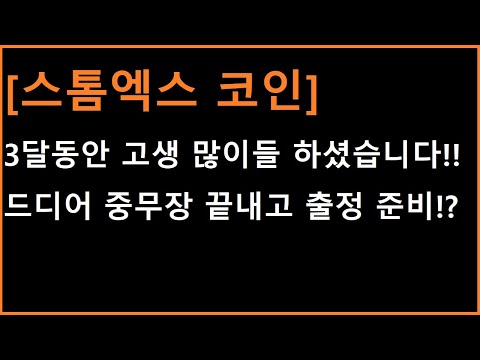   스톰엑스 코인 순서가 오기를 기다리고 있는 중 중무장은 끝낸 상황에서 현시점 핵심만 브리핑