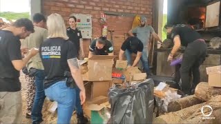 Mais de 300 kg de drogas foram incineradas em...