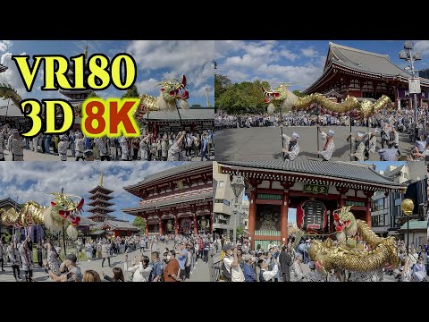 8K60P 3D VR180 ] 浅草寺・金龍の舞 Kinnryu-no-mai,Golden