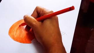 How to draw orange slices with colour pencil  || step by step.