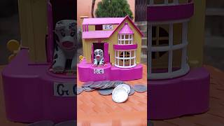pink colour dog house coin collect review & the test video poppy magick bank #toys #dog |