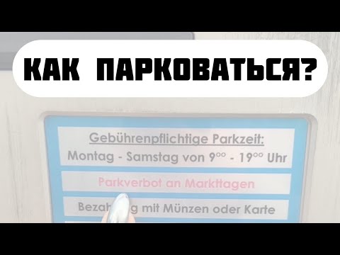 Разбираемся в знаках и правилах парковки 🚗