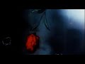 Imagine Dragons Birds Slowed Reverb 