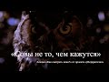 «Совы не то, чем кажутся». Лекция «Как смотреть кино?»