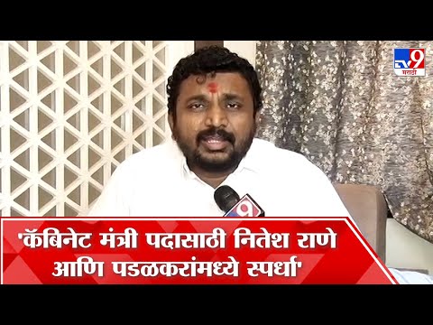 Amol Mitkari : कॅबिनेट मंत्री पदासाठी नितेश राणे आणि गोपीचंद पडळकरांमध्ये स्पर्धा लागली आहे