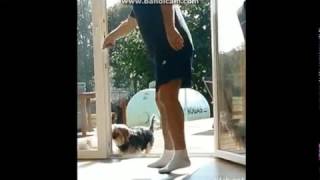 Invisible Door WOW!! (GIF) haha