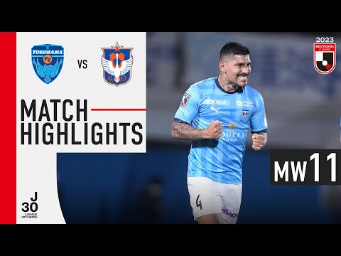 Yokohama FC Niigata Goals And Highlights