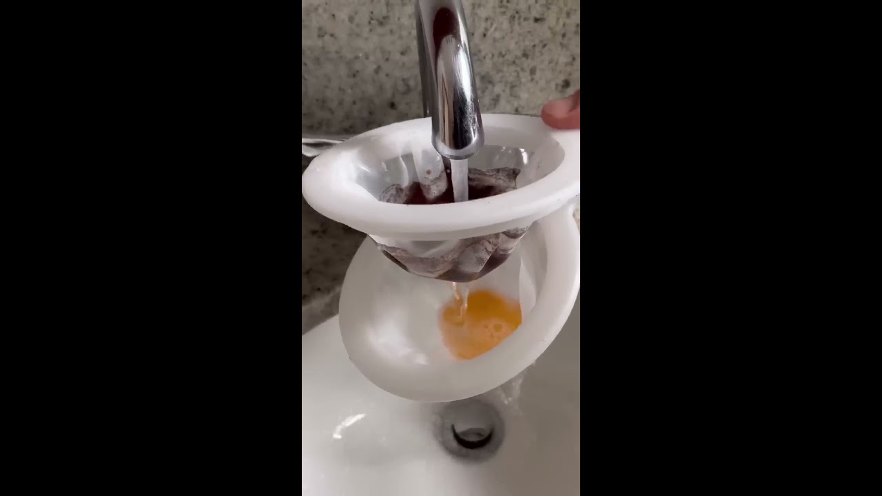 How To Separate Eggs And Shrimp