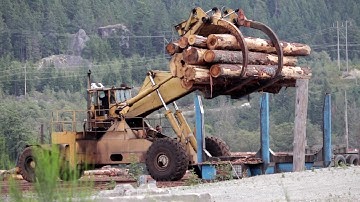 I found a log stacker!!!!