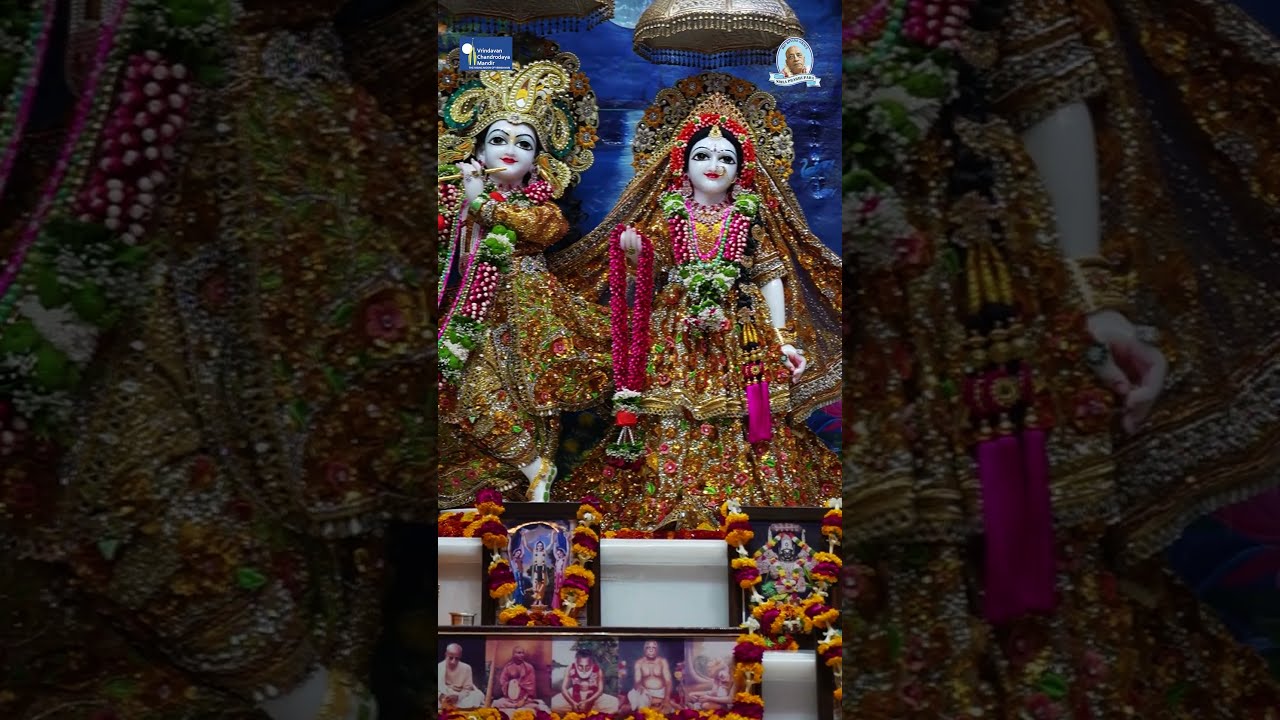 Rama Navami Special  Sri Radha Vrindavanchandra  Sri Gaur Nitai  Vrindavan Chandrodaya Mandir