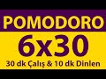 Pomodoro Tekniği | 6 x 30 Dakika | 30 dk Çalış & 10 dk Dinlen | Pomodoro Sayacı | Alarmlı | Müziksiz