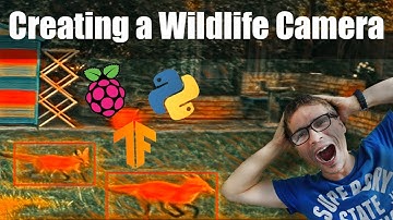 Raspberry PI Wildlife camera with Tensorflow - creating my own image dataset with CVAT