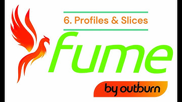 FUME FHIR Conversion Tutorial - 6. Profiles and Slices