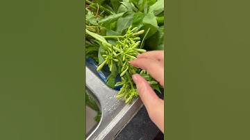 Hoa đu đủ, lá đu đủ, cà dại là món ăn rất ngon đó nha #cohuyennguvan