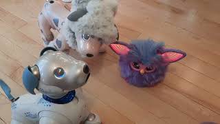 Aibos meet 2023 Furby by Einfari Âûtomata 958 views 8 months ago 3 minutes, 4 seconds