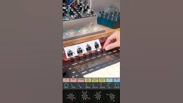 Can Soliste do Generative? #mpe #generative #stringquartet