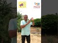 நீர்நிலைகளை பாதுகாப்பது நம் அனைவரின் கடமை #environment #health #river #water #resources #awarness