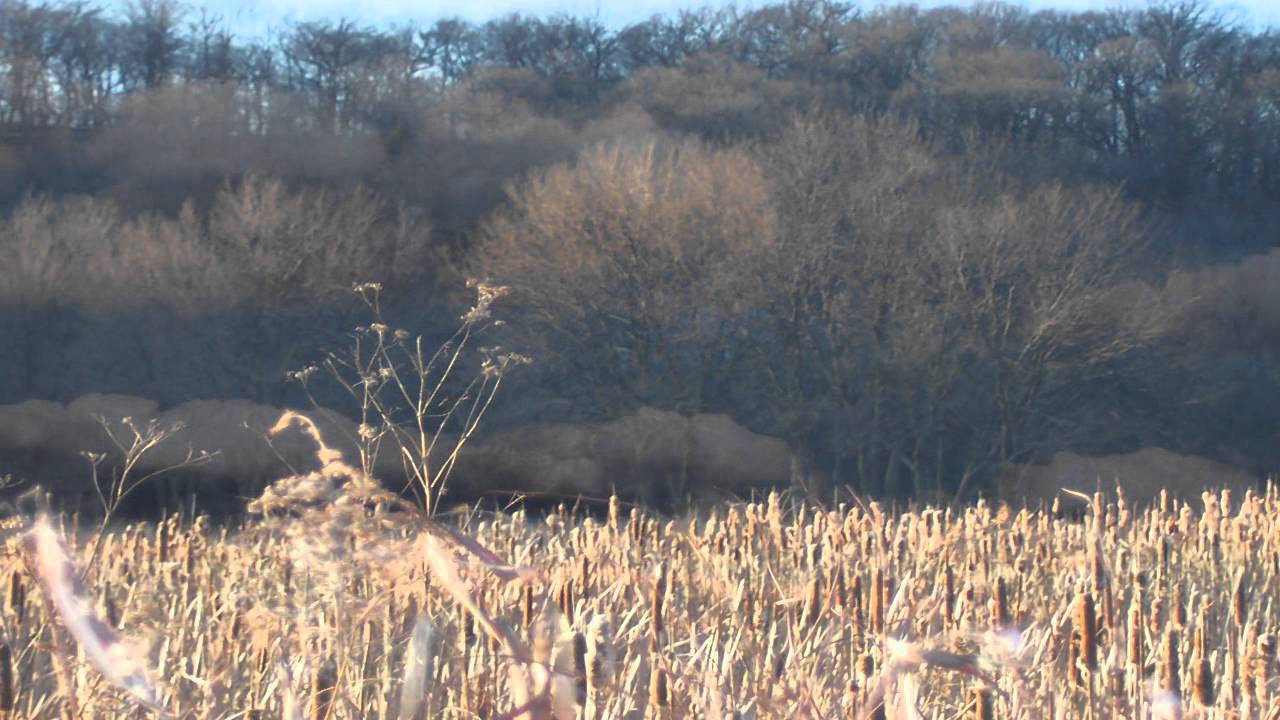 Watch Paul Adams - Natures Embrace on YouTube Watch Paul Adams - Natures Embrace on YouTube