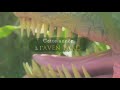 Teaser aven parc 2020  le monde des dinosaures