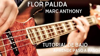 Video thumbnail of "🎸 'Flor Pálida' de Marc Anthony: Tutorial de Bajo Paso a Paso 🎶"