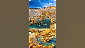 "ولقد نعلم أنك يضيق صدرك بما يقولون" #روائع_التلاوات #القرآن_الكريم #تلاوة_خاشعة #قرآن