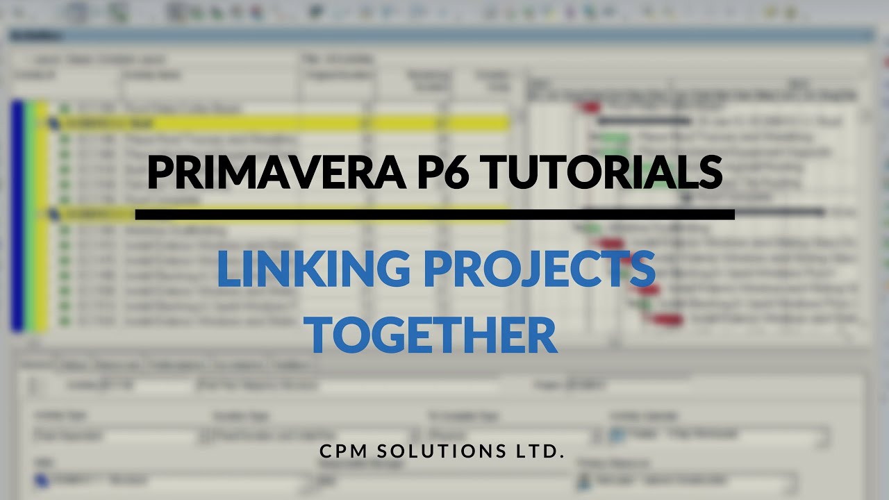 primavera p3 tutorial primavera p3 tutorial