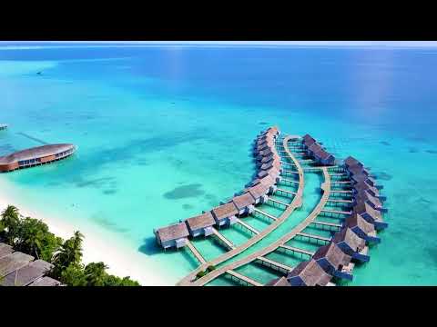 Avicii Maroon 5 Coldplay Alan Walker Alok The Chainsmokers Cover Summer Vibes Deep House 43