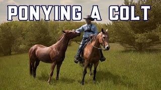 Ponying a Horse: Trail Adventures with Slider