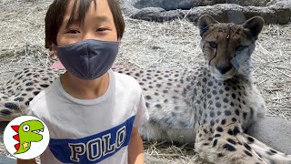レオくんがおでかけ！ Part32 トイキッズ - YouTube