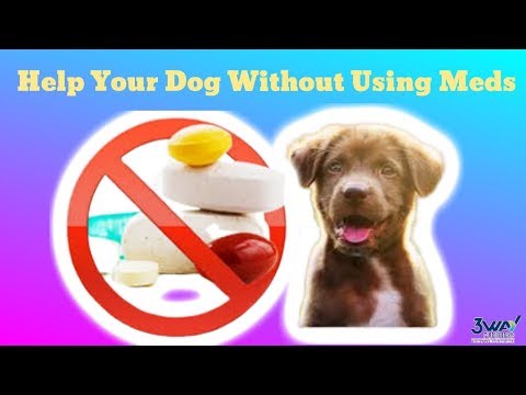 فيديو: كيفية تهدئة فرط الكلب الخاص بك