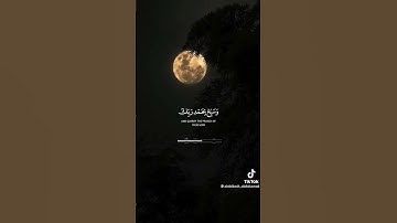 واصبر لحكم ربك فأنك بأعيننا من أجمل الأصوات للقارئ عبد الباسط عبد الصمد