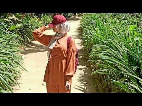 رغد الوزان سياحة رحلة جميلة وممتعة مع الكشافة الإسلامية