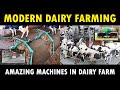 Amazing cow farming technologies  modern dairy farming tools machines and equipments