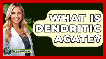 What Is Dendritic Agate? - Earth Science Answers