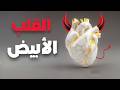 القلب الأبيض هل الطيبة حق ا بلا ثمن