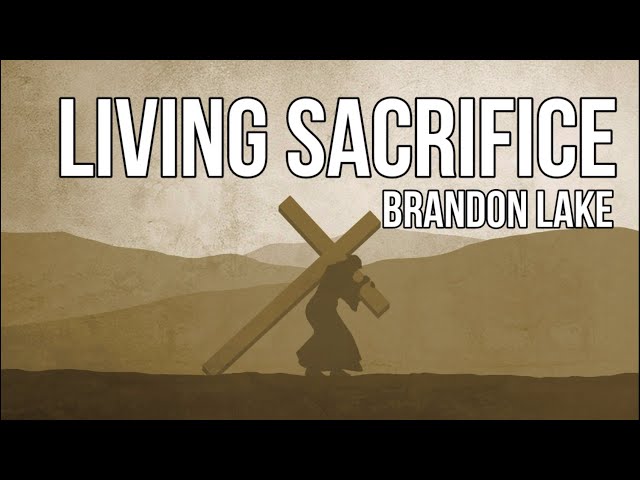 Sacrifice - creed (Lyrics) requested by @SenXSensei #sacrifice #sacrif