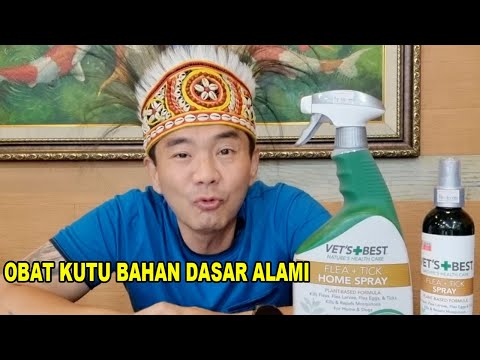 Video: 7 Perawatan Hewan Umum Untuk Alergi Anjing